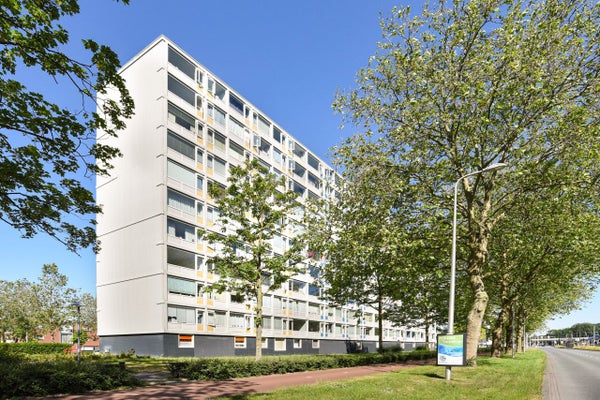 utrecht fahrrad mieten