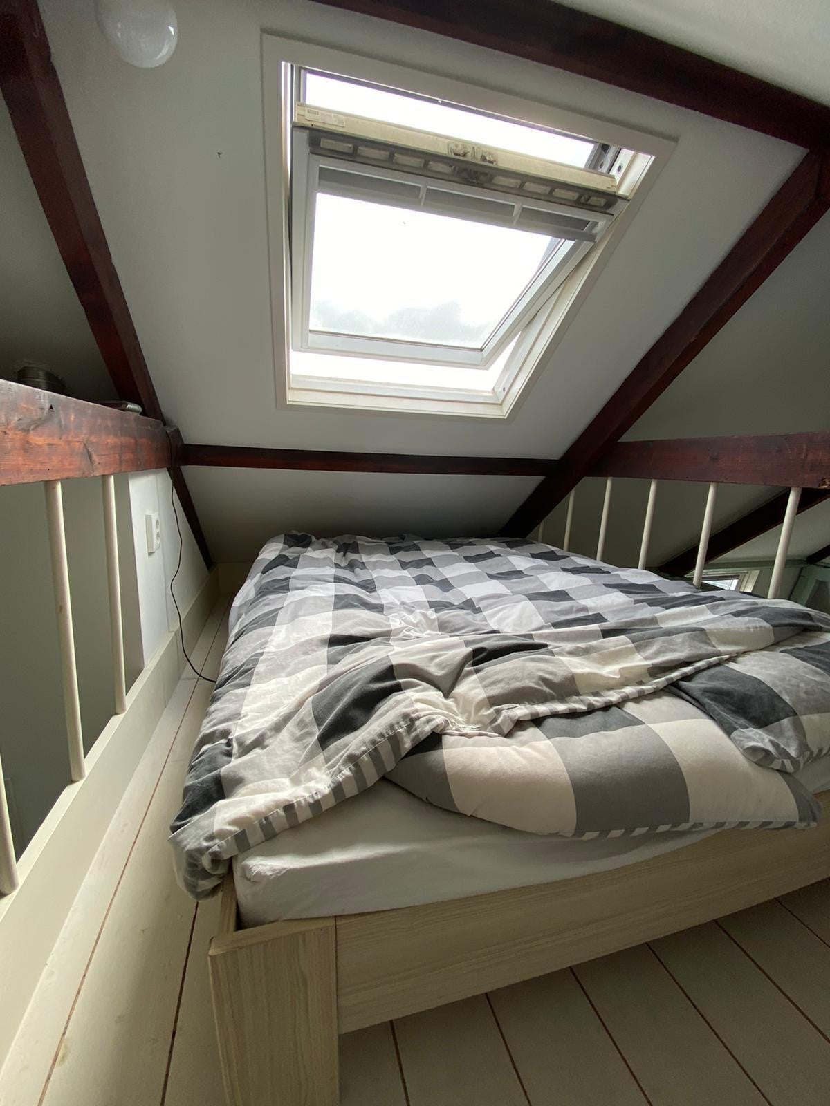 Woning te huur: Violenstraat, Groningen