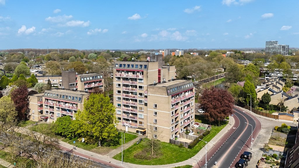 Tolhuis