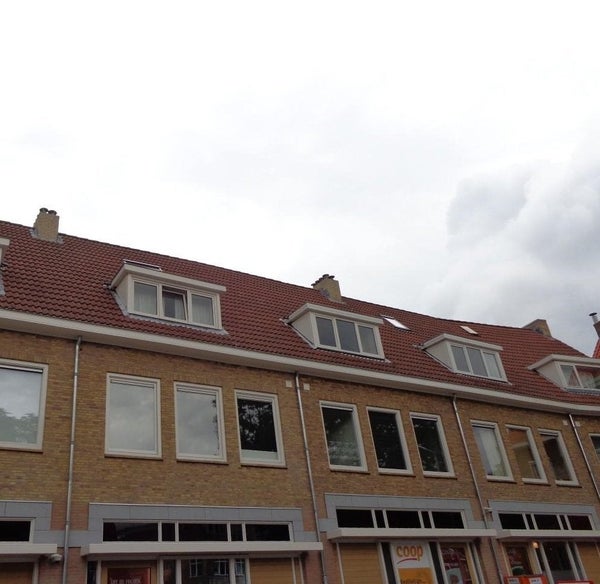 Beethovenlaan