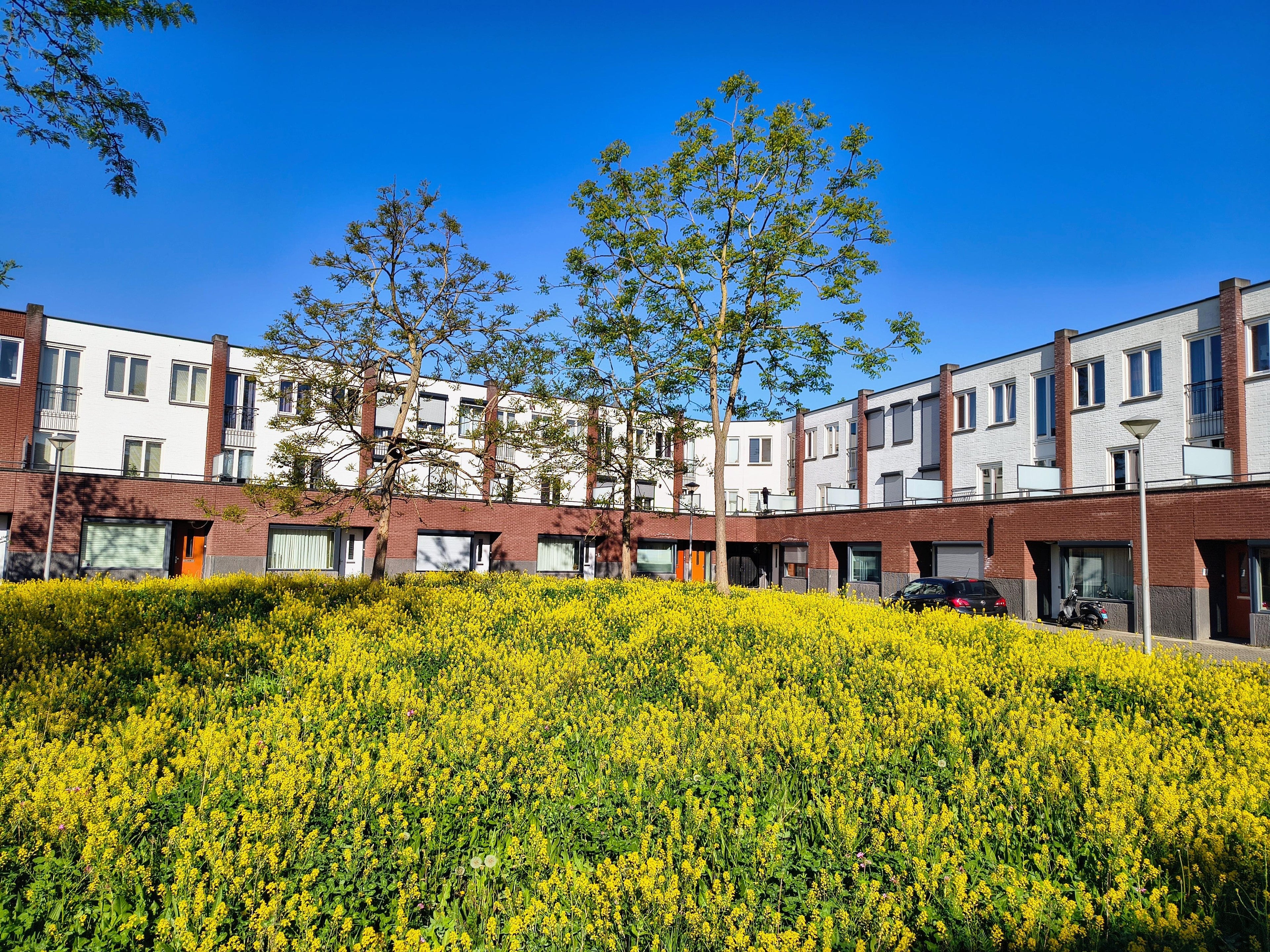 Te huur Huis Marconistraat 28 in Maastricht