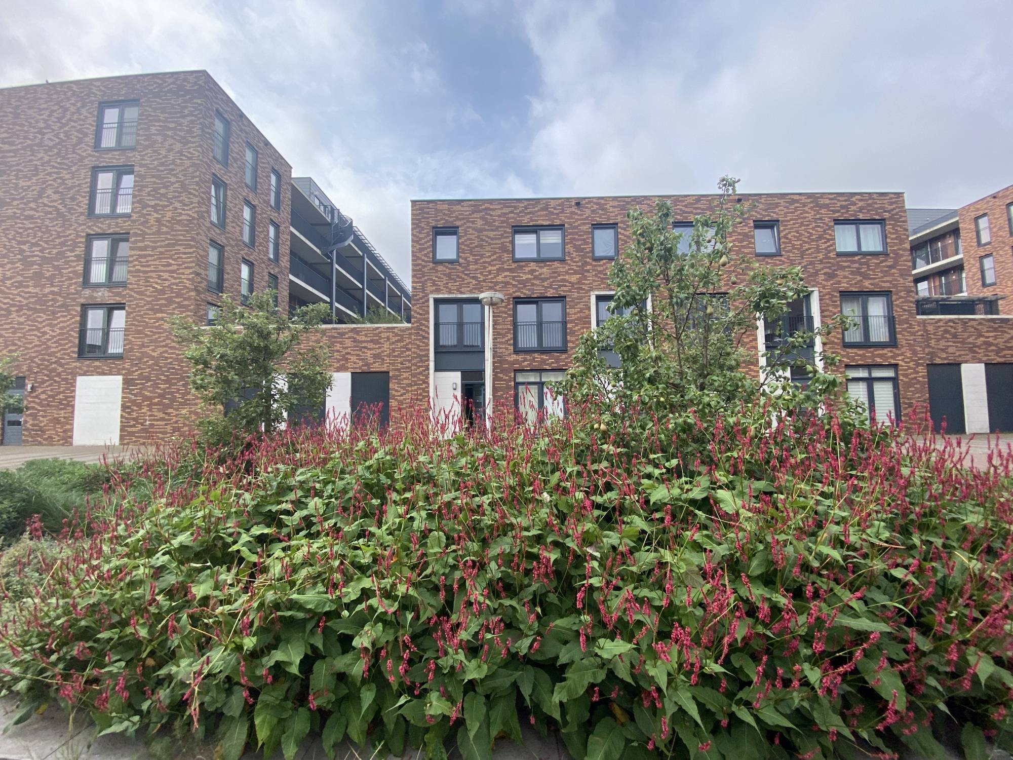 Te huur Huis Ray Conniffpad in Utrecht