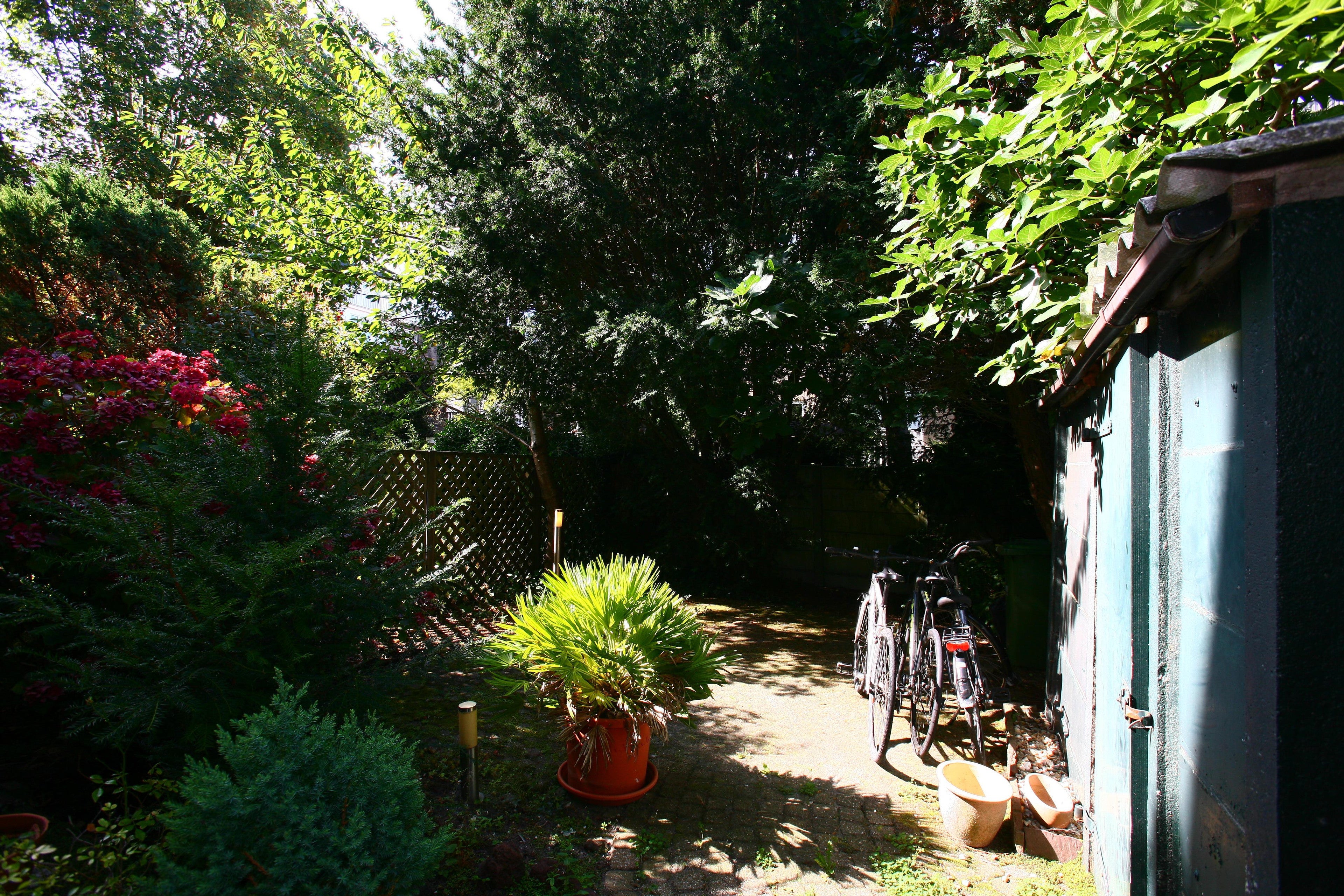Woning te huur: De Moucheronstraat, 'S-Gravenhage