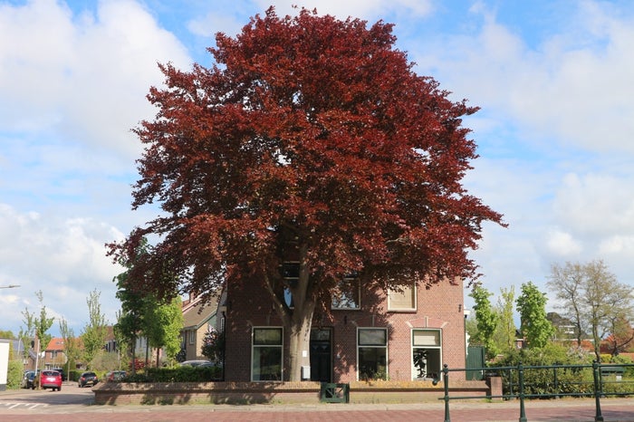 Te huur: Huis Wassenaarseweg in Katwijk