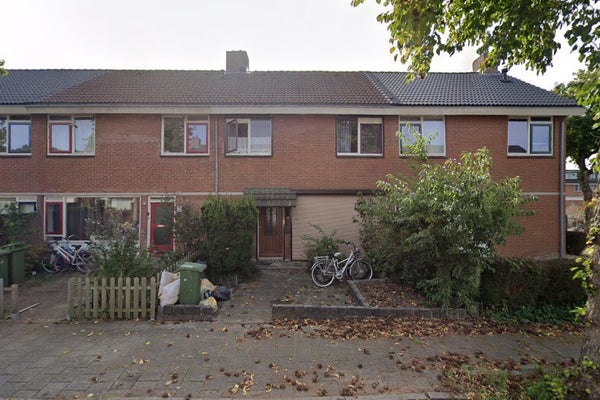 Meijhorst 5049 03