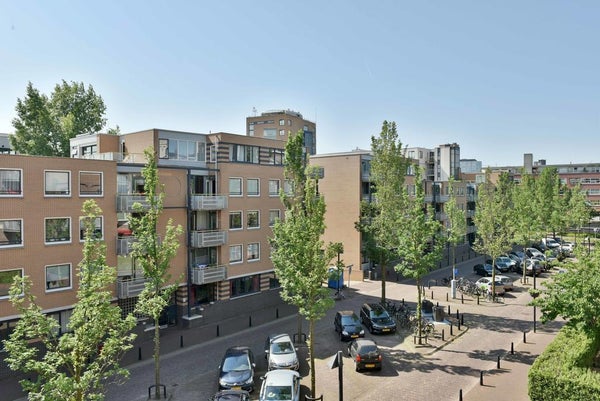 Flat Arthur van Schendelstraat 39