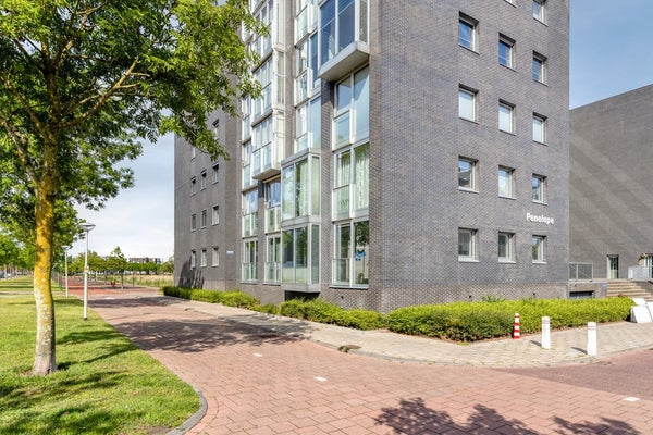 Appartement De Boulevard 203 in Bergen op Zoom