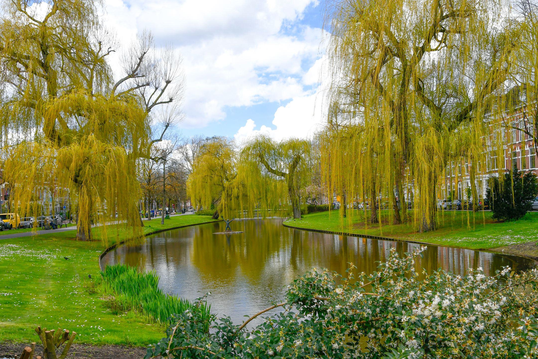 Woning te huur: Spoorsingel, Rotterdam