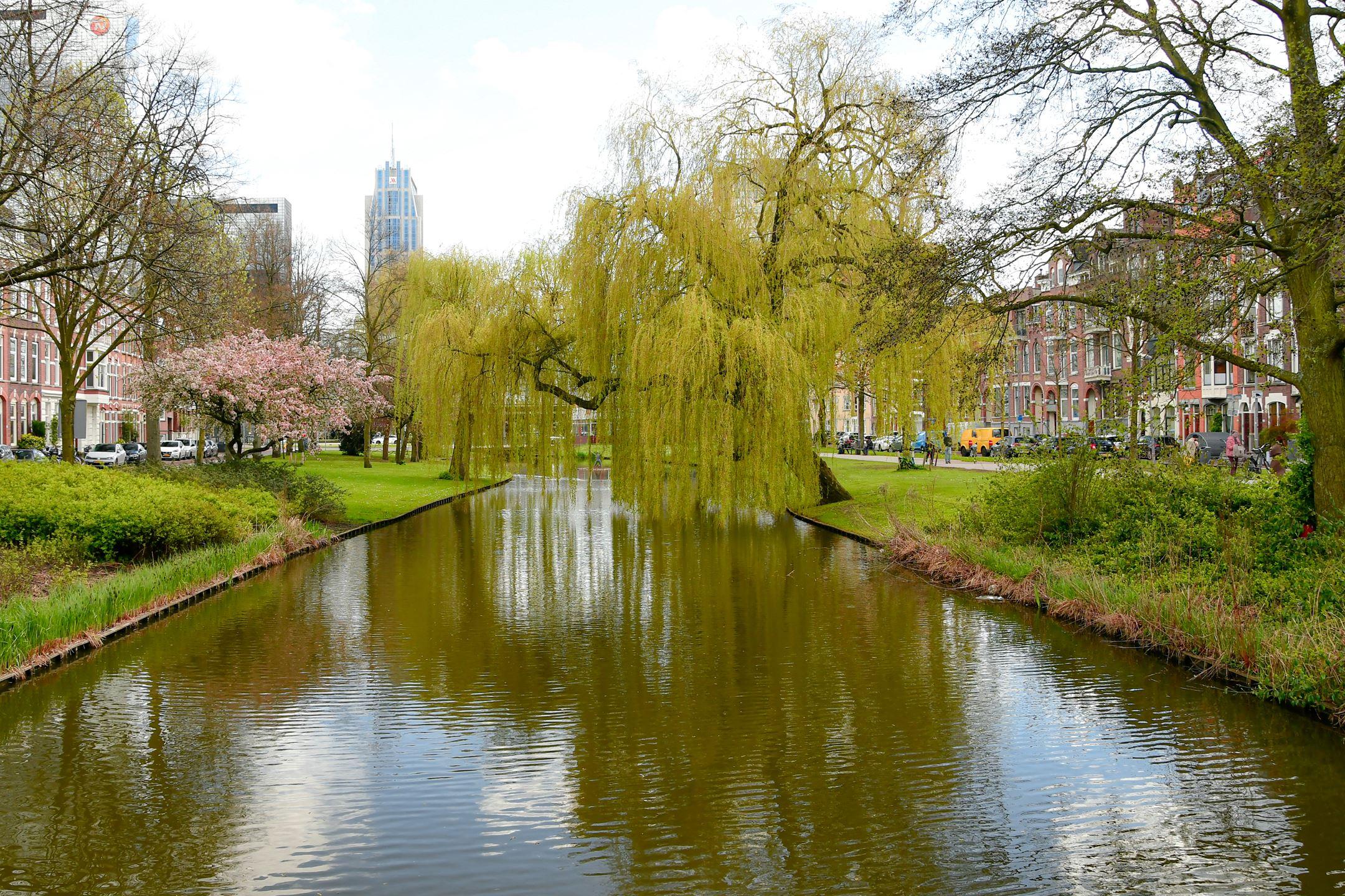 Woning te huur: Spoorsingel, Rotterdam