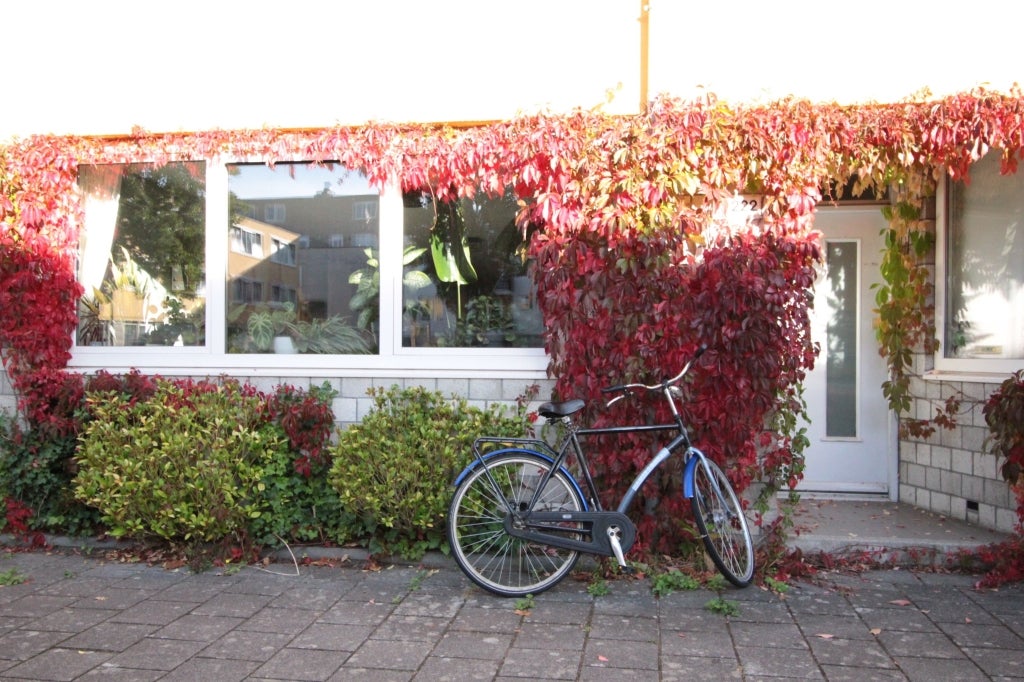 Flat Slachthuisstraat 222