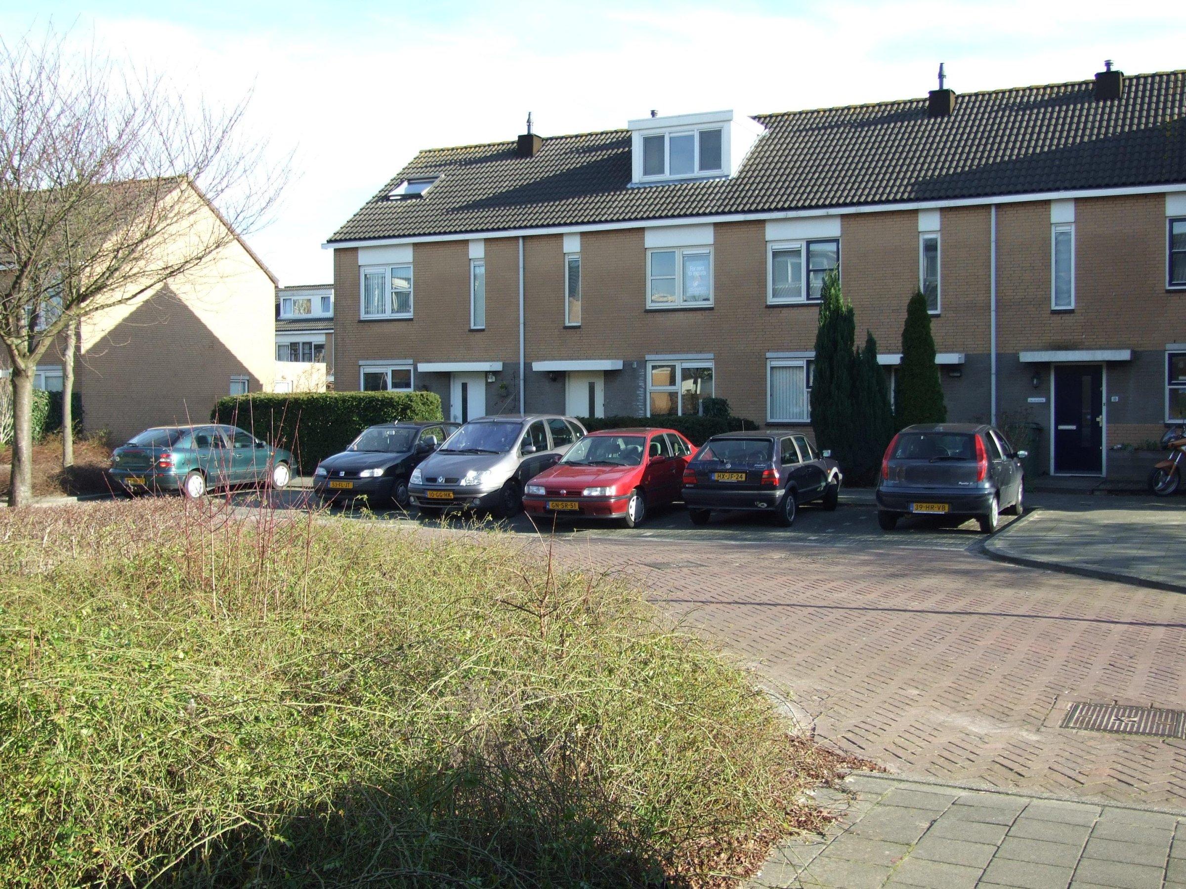 House Wilhelmina Druckerlaan