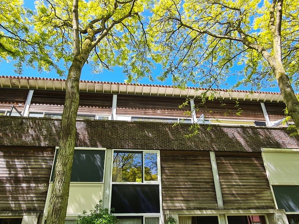 Flat Liedekerkeplantsoen 34 in Amsterdam
