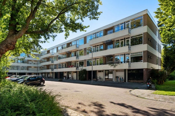Flat De Lairesselaan in Rotterdam
