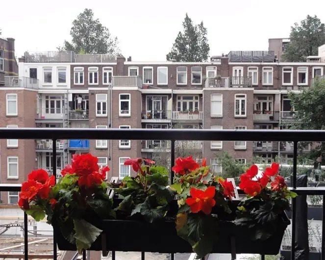 Appartement Marcusstraat in Oost, Amsterdam