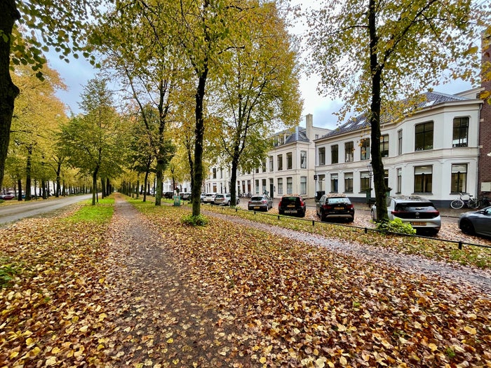 Te huur: Appartement Maliebaan 71 A in Utrecht