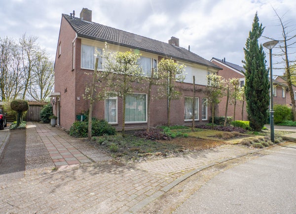 Bergroosstraat 16