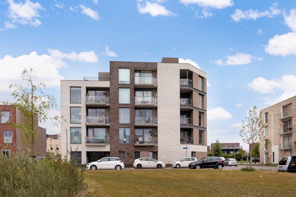 Flat Ierlandstraat 20