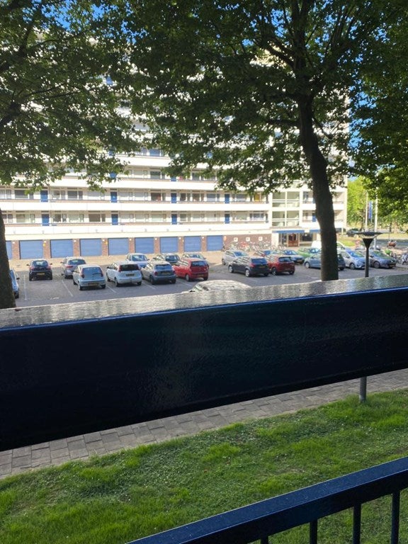 Rental Apartments Arnhem