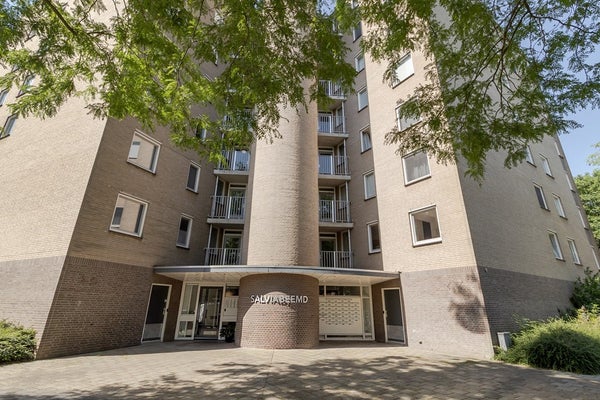 Salviabeemd 39 B in Maastricht
