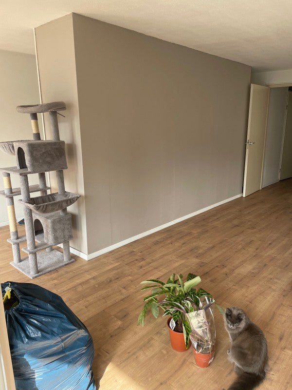 Appartement aan de Stieltjesstraat in Rotterdam (3071 JX)