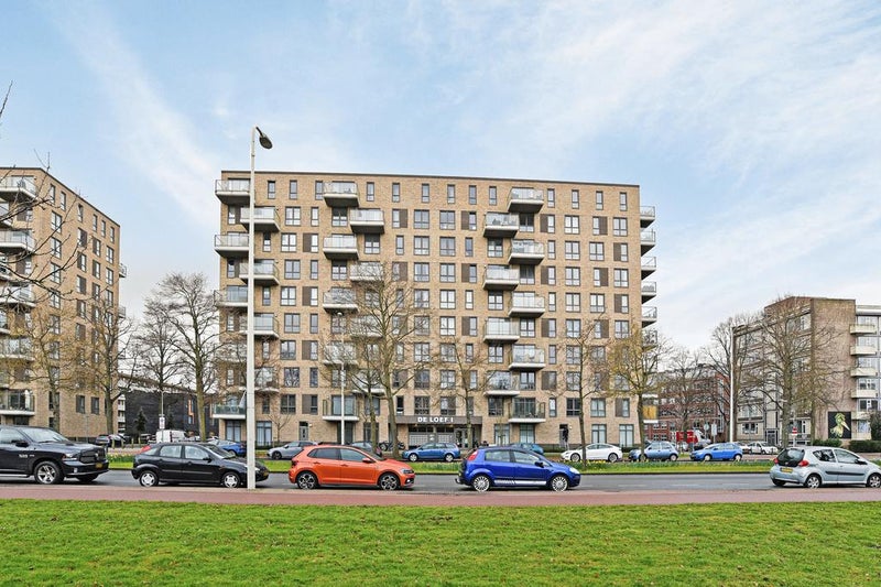 Te huur Appartement Loevesteinlaan in Den Haag