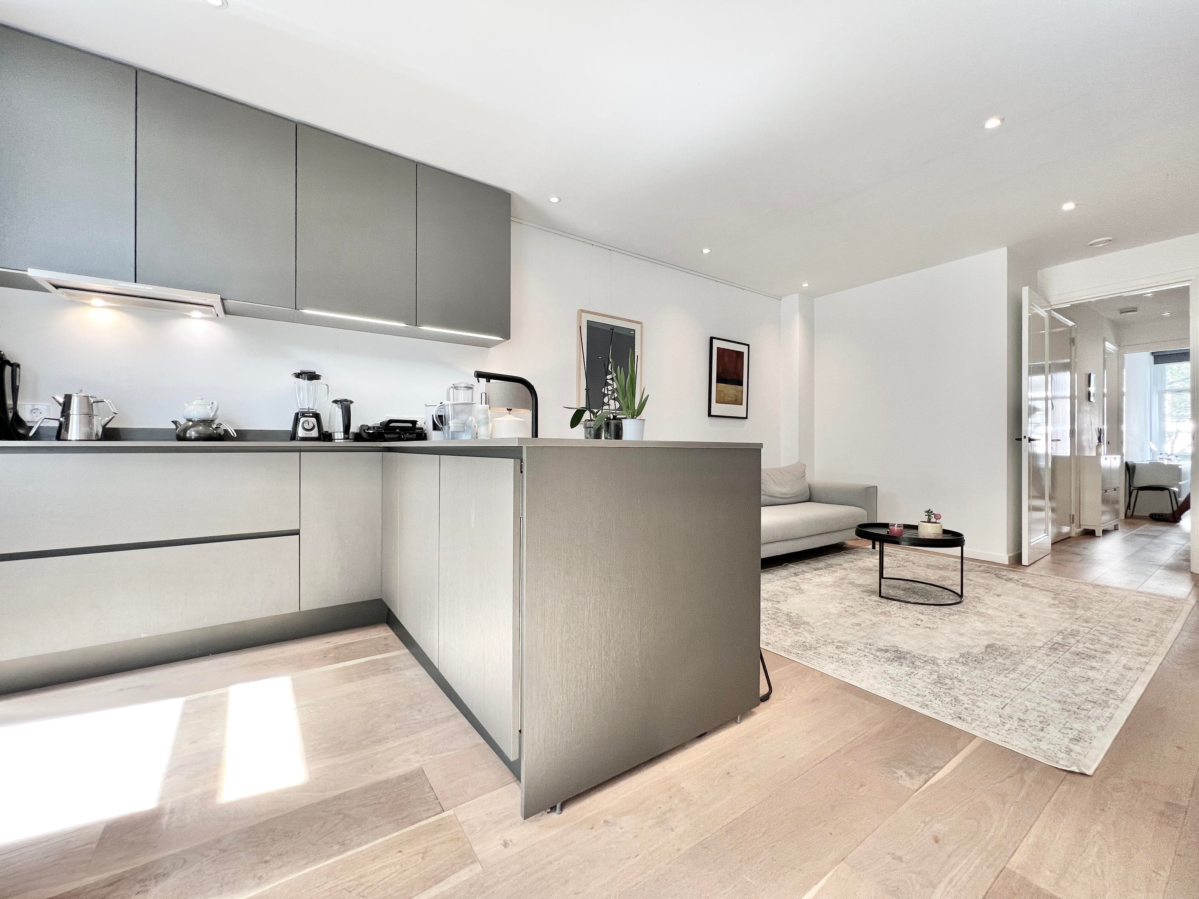 Te huur Appartement Tweede Jan Steenstraat in Amsterdam