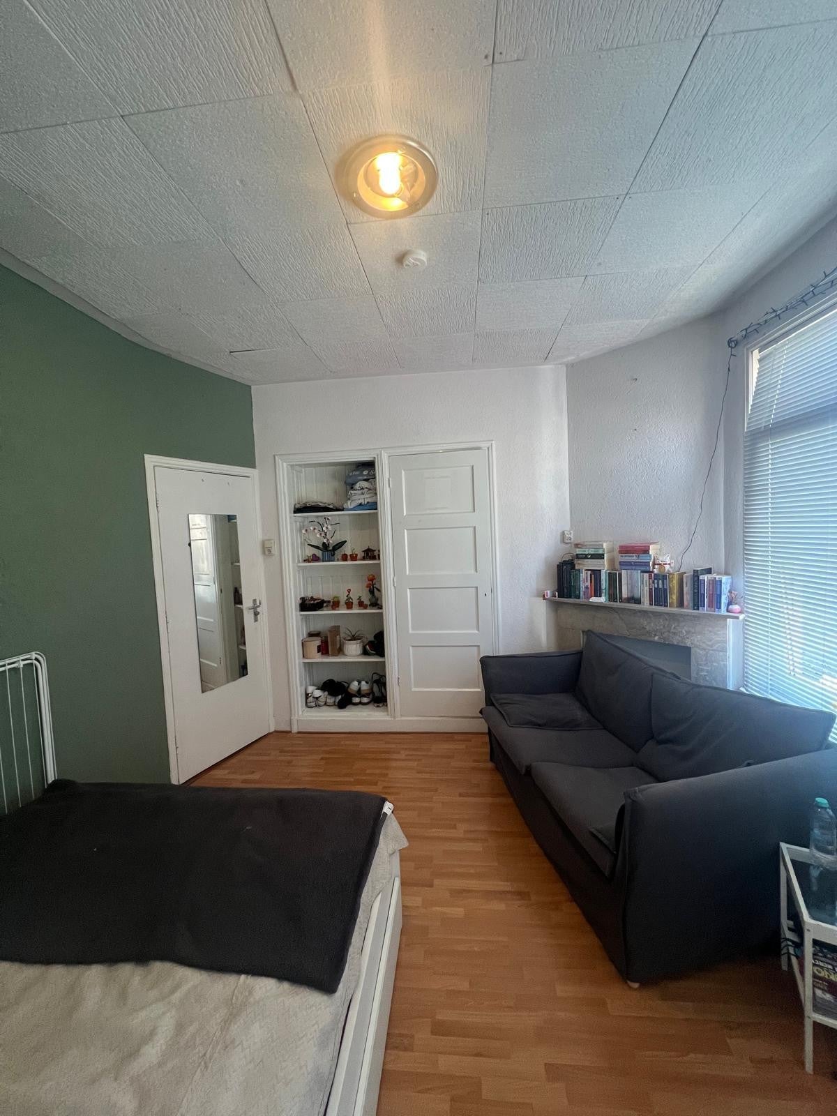 Room Violenstraat