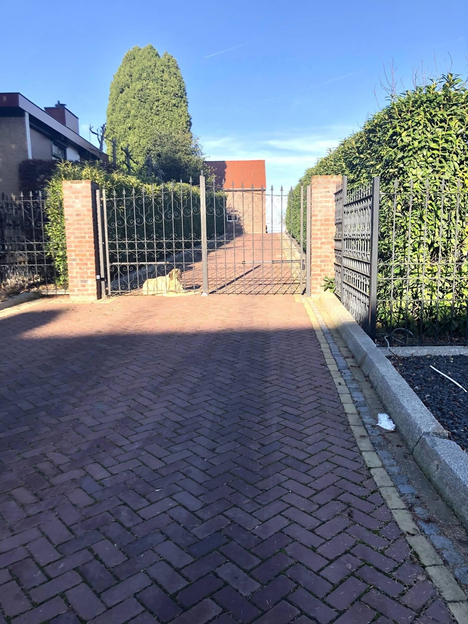 Appartement te huur: Langstraat 16B, Schimmert