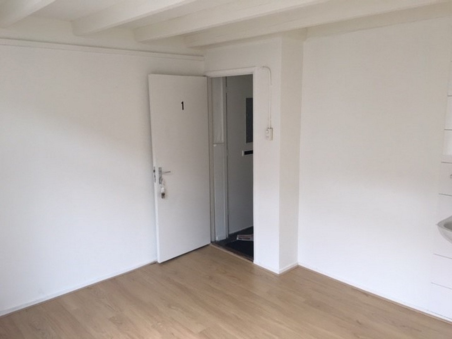 Room Paterstraat 31