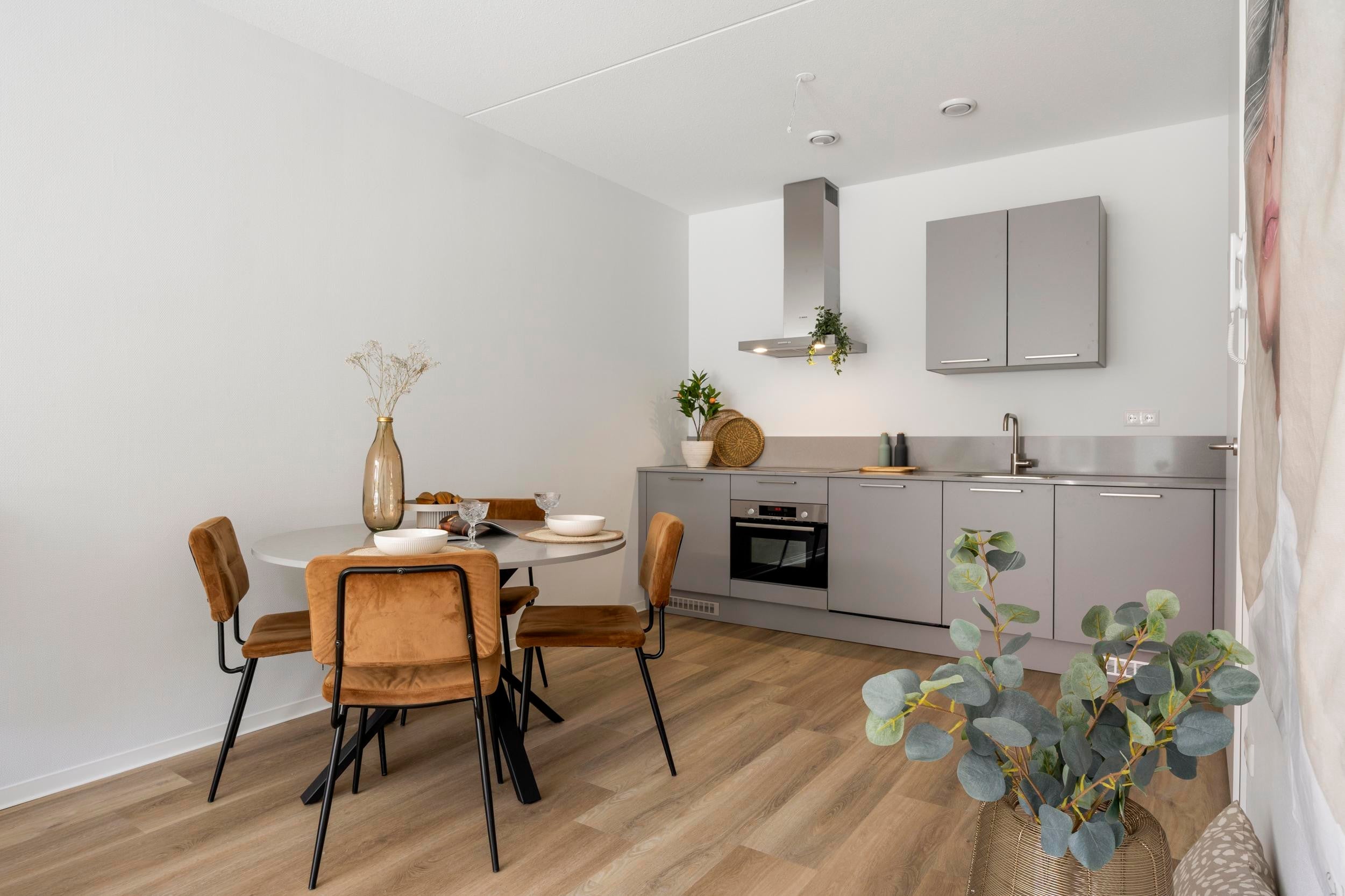 Te huur Appartement Ericastraat in Eindhoven