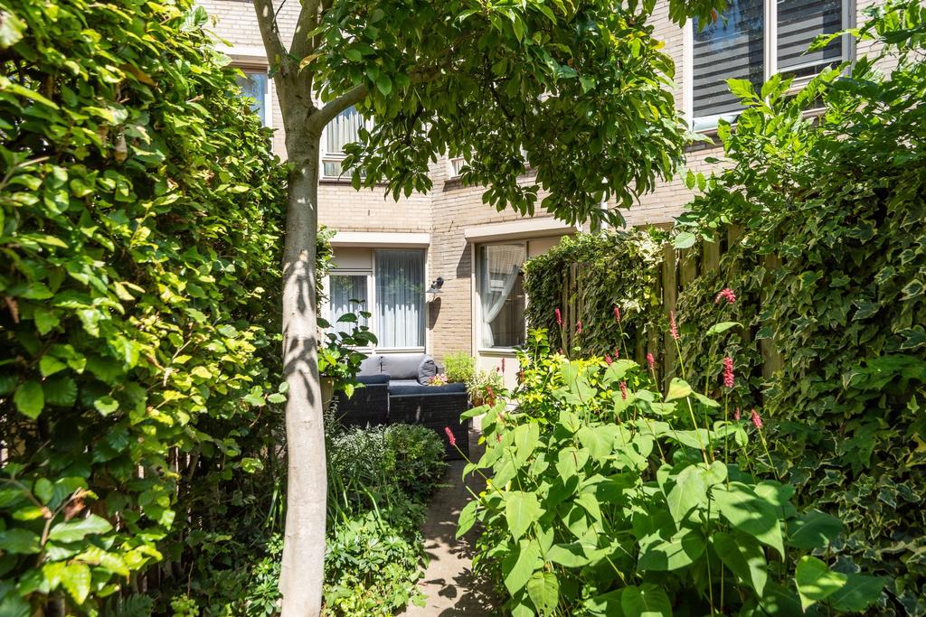 Woning te huur: Nieuwe Fellenoord, Eindhoven