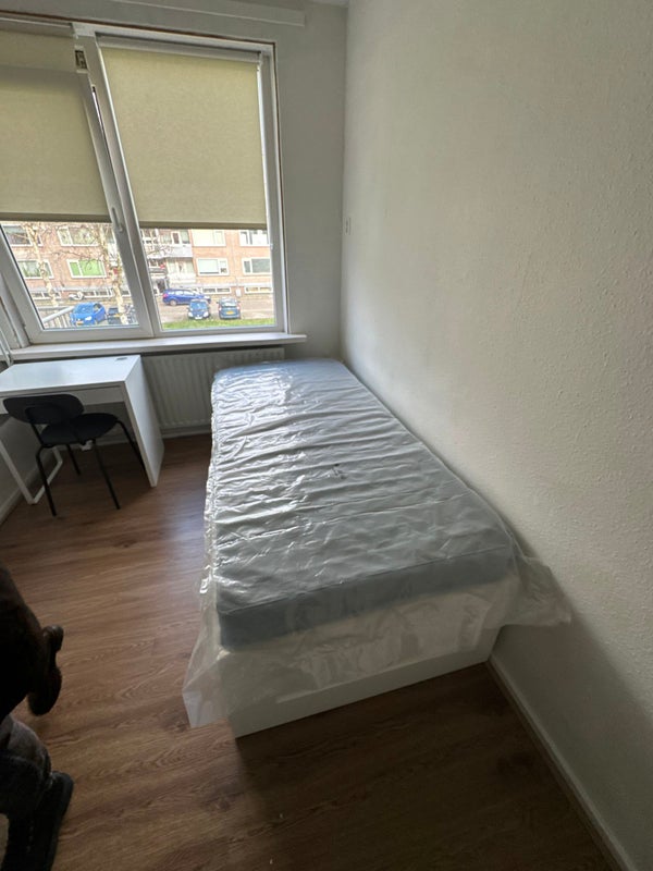 Room Europalaan in Tilburg