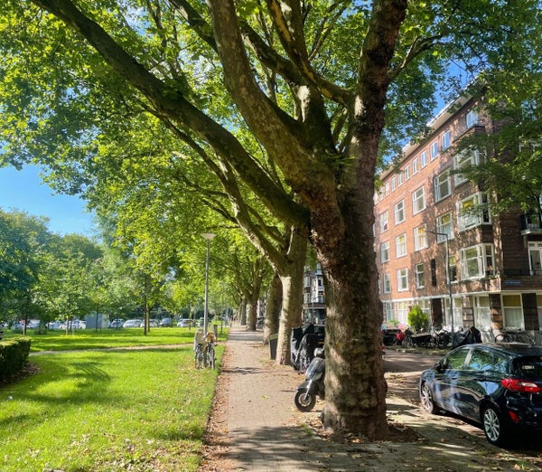 free-sector-houses for rent on Statenweg