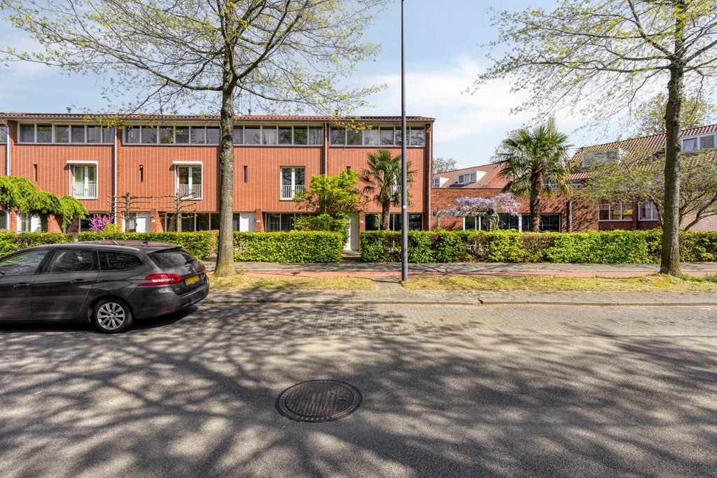 Laan van Avant-Garde