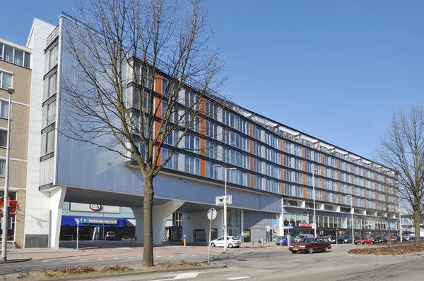 Grote Beer 43, Rotterdam