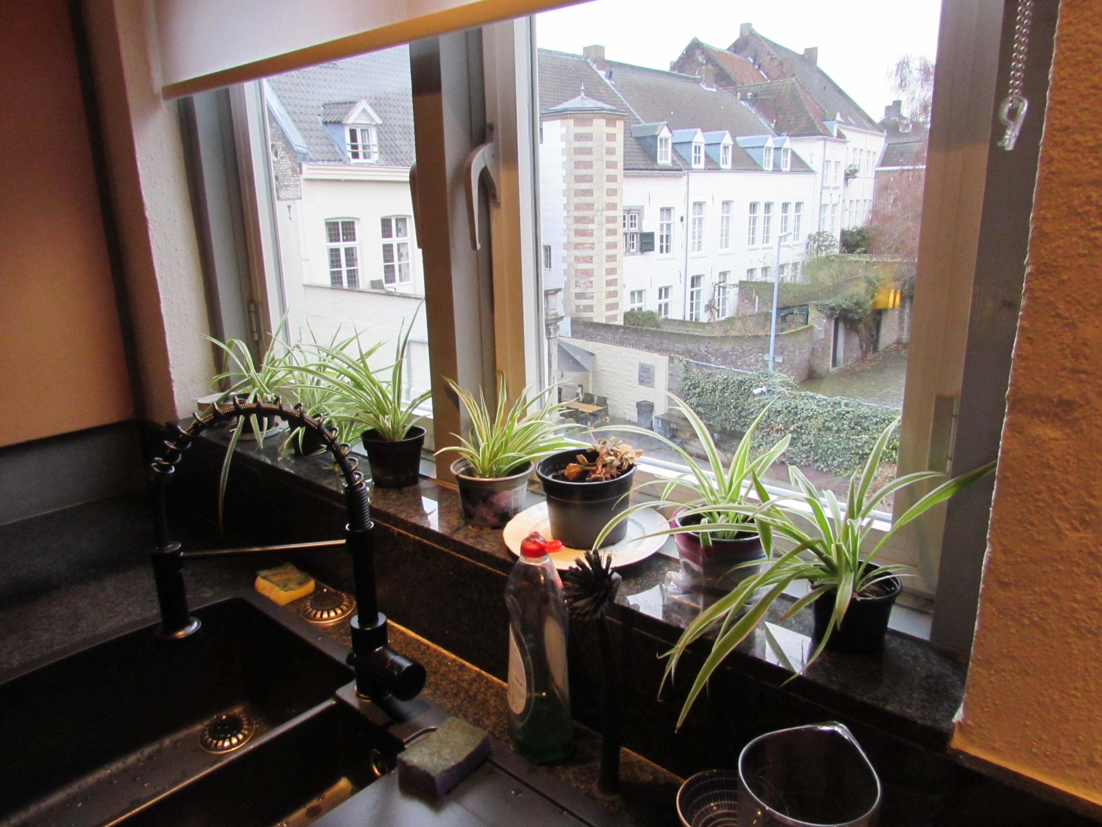 Appartement te huur: Raamstraat 2C, Maastricht