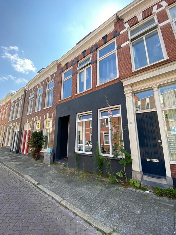 Ganzevoortsingel, Groningen