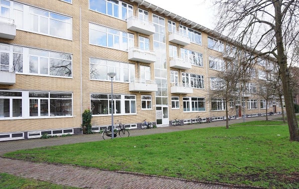 Statensingel