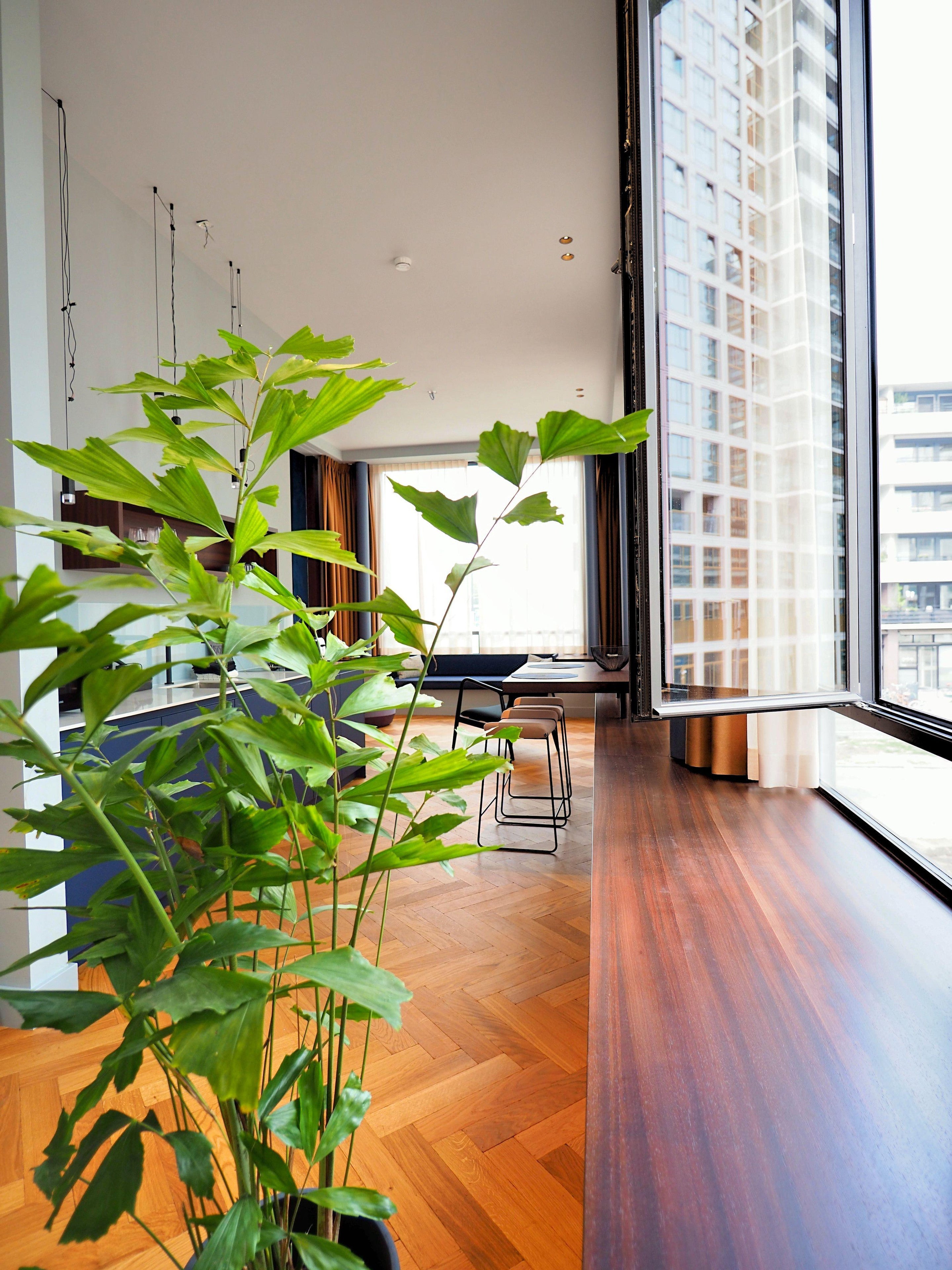 Woning te huur: Van Vollenhovenstraat, Rotterdam