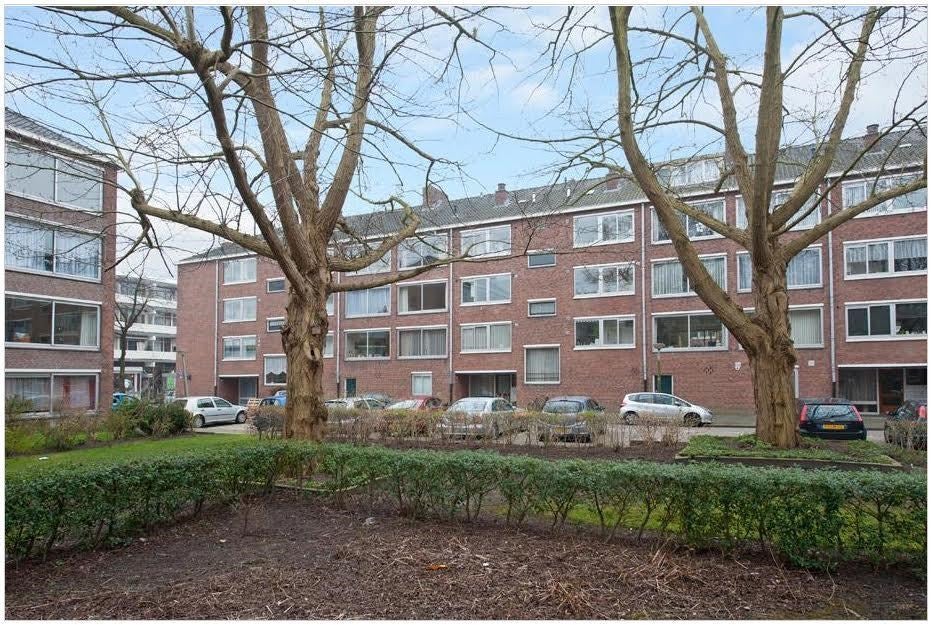 Appartement Rietnesse 3 2 in Amsterdam