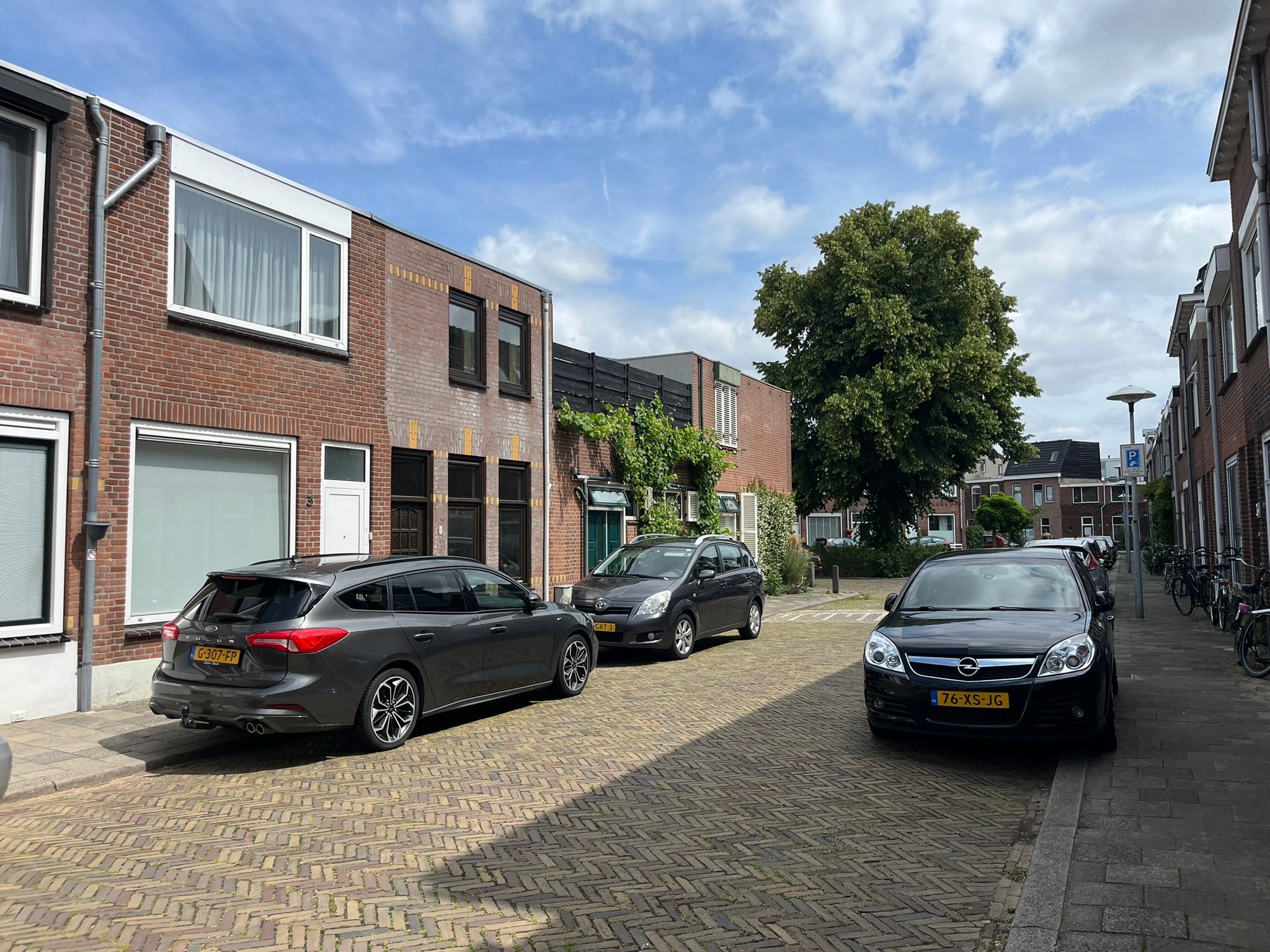 Chrysantstraat
