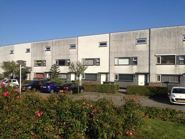 Studio Azobéhout 34 in Zoetermeer