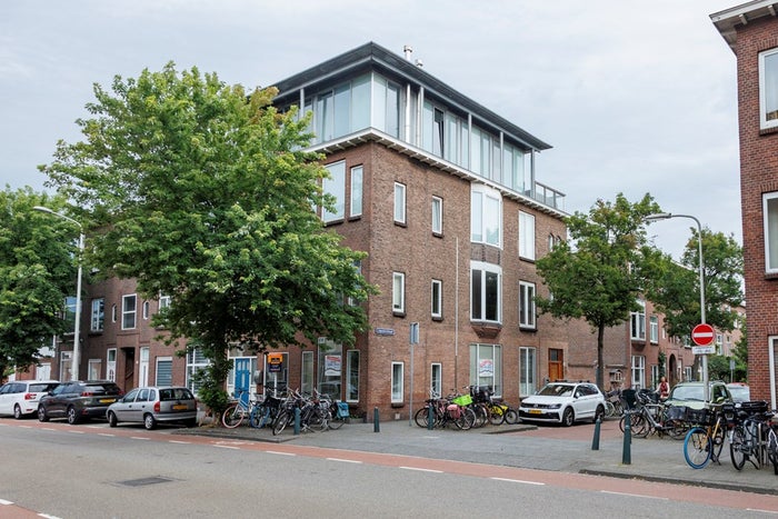 Ligusterstraat 109 A