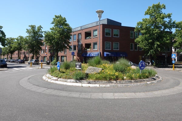 Waalstraat