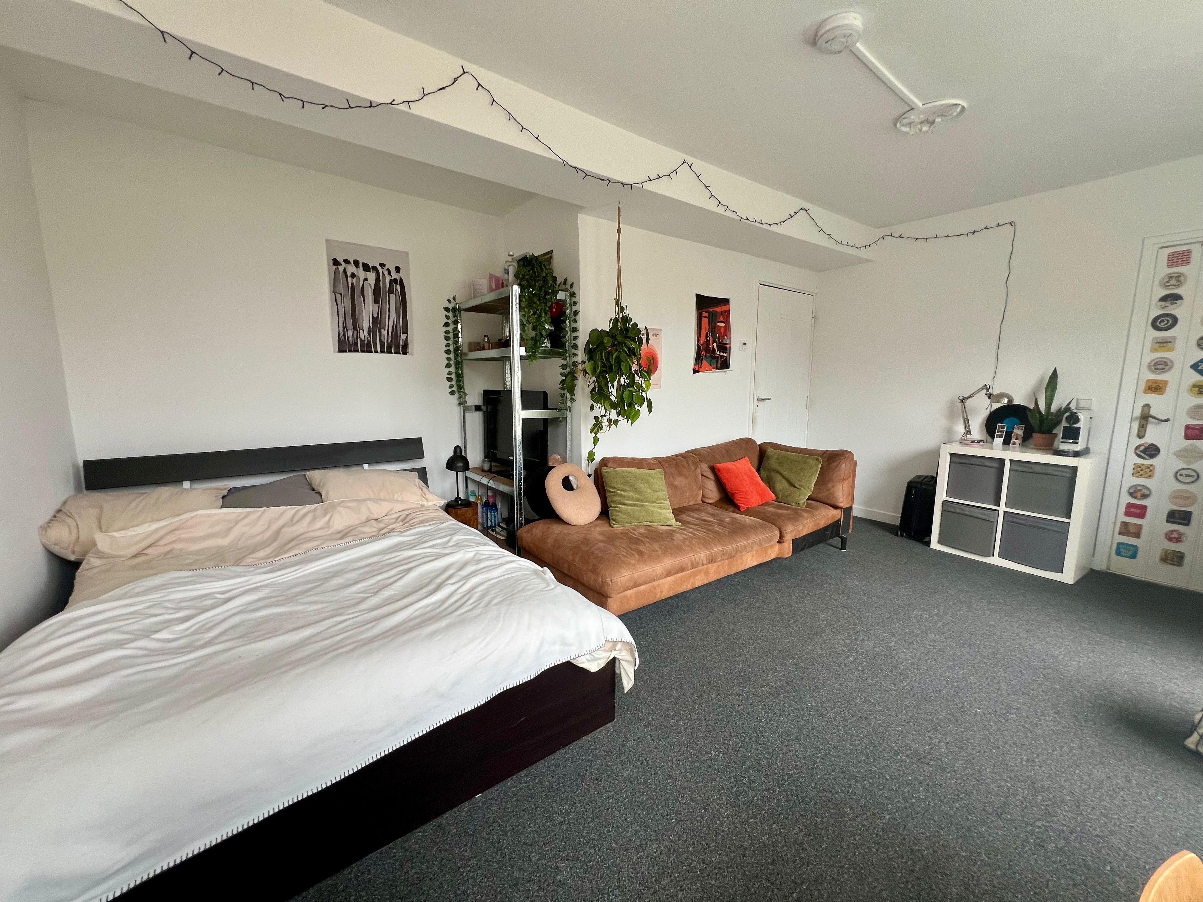 Room Burghtstraat