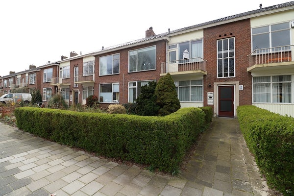 Haydnlaan