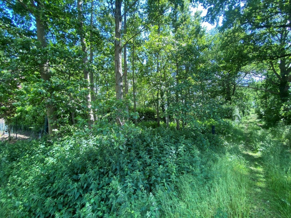 Twee-onder-één-kap te koop: Sevenumseweg 35, Venlo