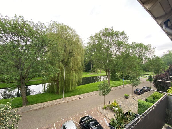 Flat Lepelaarsingel