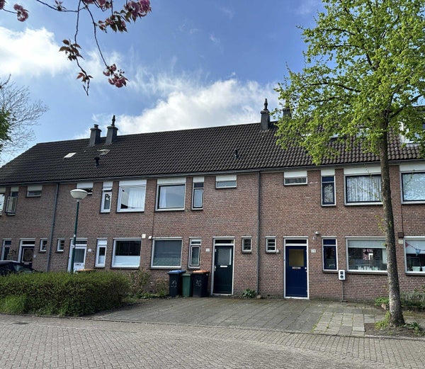 Schaapherder