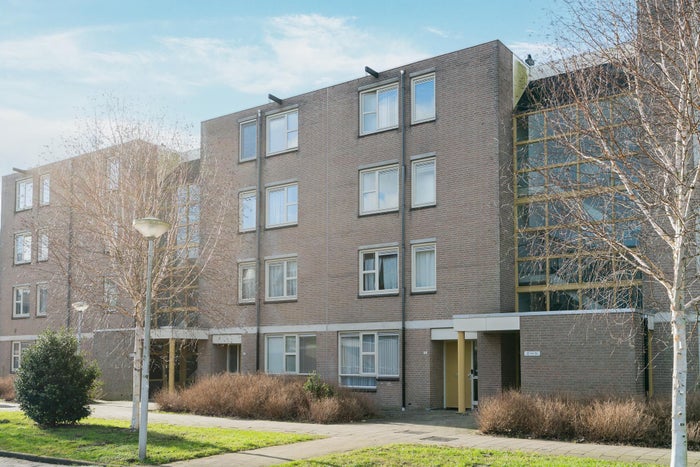 Wamelplein 31